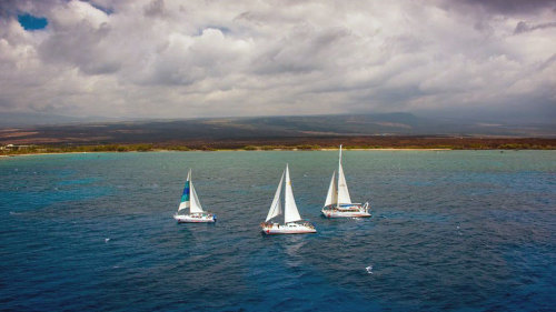 Kohala Coast Snorkeling & Sailing Tour