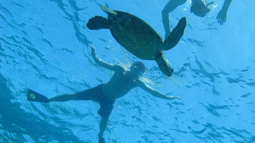 Deluxe Morning Snorkel on a Raft