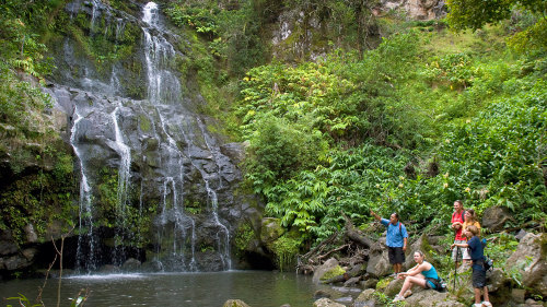 Kohala Waterfalls Adventure