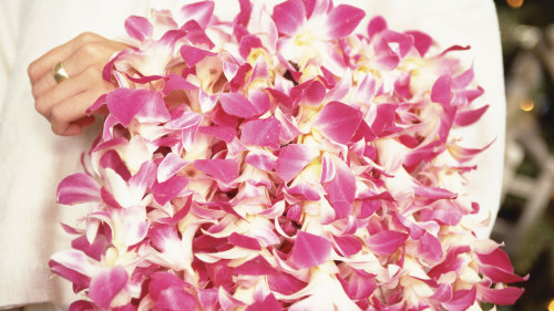 Traditional Hawaiian Lei Greeting Upon Airport Arrival