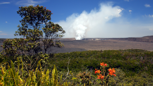 Oahu to Big Island Day Tour by Robert