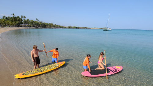 Aloha Beach Day