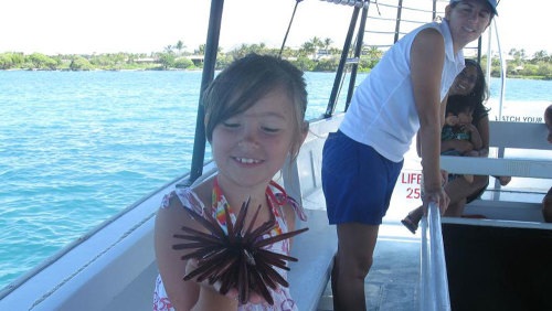 Glass-Bottom Boat Tour in Waikoloa