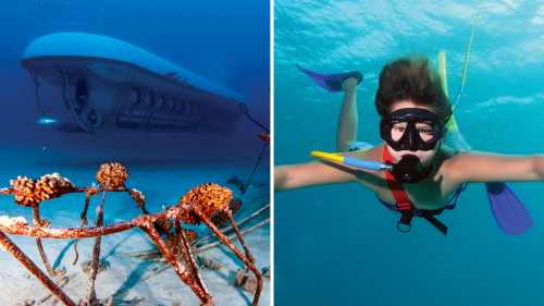 Submarine & Snorkel Combo Adventure