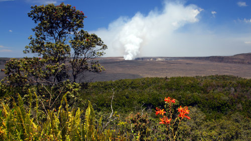 Hilo Volcano Special Tour