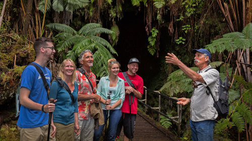Discover Volcano Country From Hilo