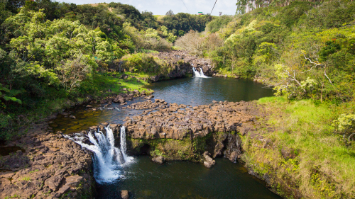 Umauma River Swim & Kayak Experience