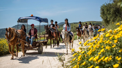 Horseback Riding at Finikia Mountain with Lunch