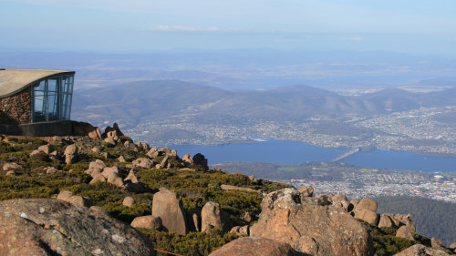 Mt Wellington Half-Day Tour