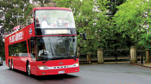 3-Day Hop-On Hop-Off Bus Pass by Gray Line