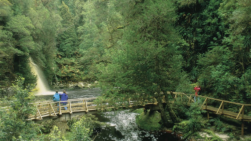 Cradle Mountain Day Tour