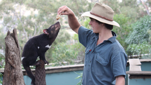 Night Tour of Bonorong Wildlife Sanctuary