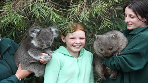 Feeding Frenzy Tour at Bonorong Wildlife Sanctuary