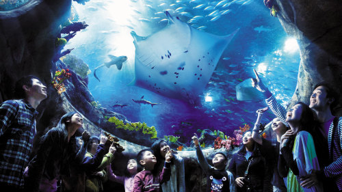 Ocean Park Hong Kong Admission