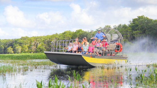 Wild Florida Airboat Ride