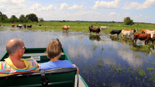 Private Airboat Ride