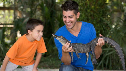 Wildlife Park at Wild Florida
