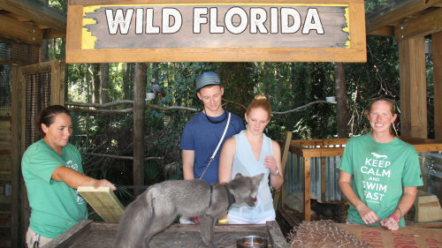 Wild Florida Behind-the-Scenes Tour
