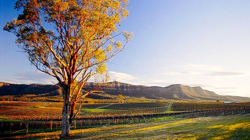Hunter Valley Small-Group Day Tour