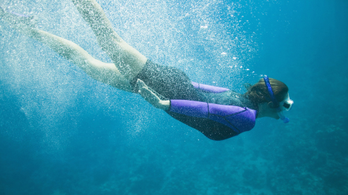 Snorkeling Trip to Mahmya with Lunch