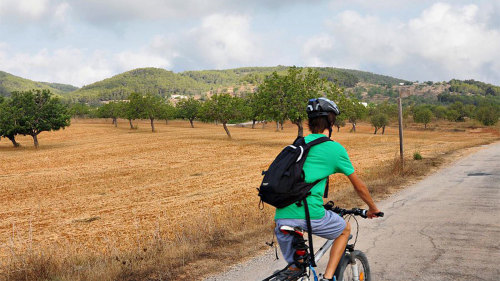 Bicycle Tour between Santa Eulalia & Santa Gertrudis with a Local