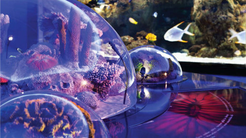 Istanbul Aquarium & Aqua Florya Shopping Mall