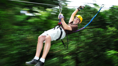 Hot Springs & Forest Canopy Adventure