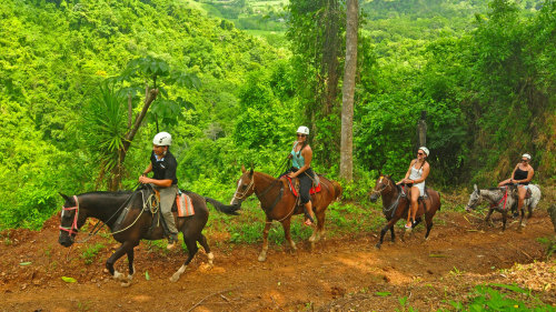 Los Suenos Horseback Riding