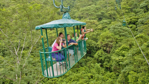 Pacific Rainforest Aerial Tram Ride