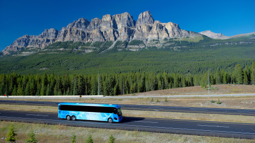 Brewster: Jasper National Park Tour & Maligne Lake Cruise