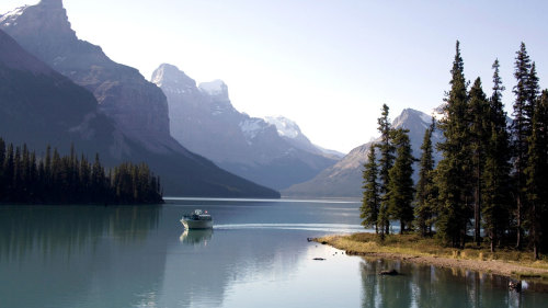 Maligne Valley Sightseeing & Spirit Island Boat Tour