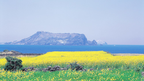 3-Day Jeju Island Tour