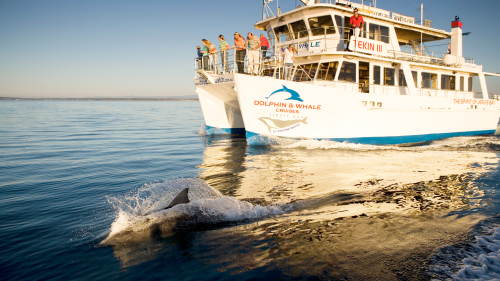 Jervis Bay Full-Day Tour by Colourful Trips