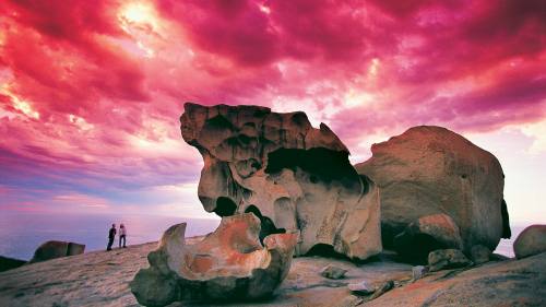 1-Day Kangaroo Island Experience from Adelaide