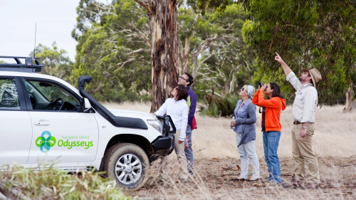 Kangaroo Island Small-Group 4WD Tour
