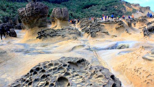 Yehliu Geopark & Northern Seacoast Tour by My Taiwan Tour