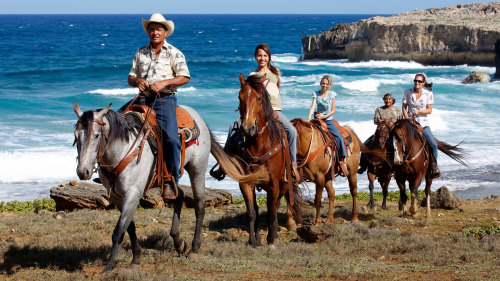 South Shore Beach Horseback Ride