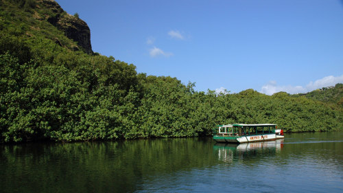 Fern Grotto Cruise by Smith