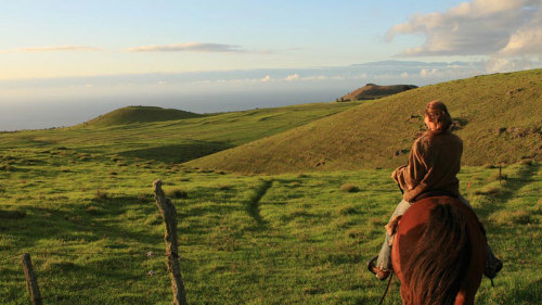 Sunset Horseback Ride