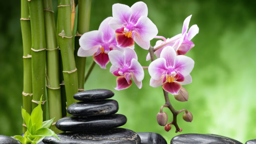 Massage Services at Pua Day Spa