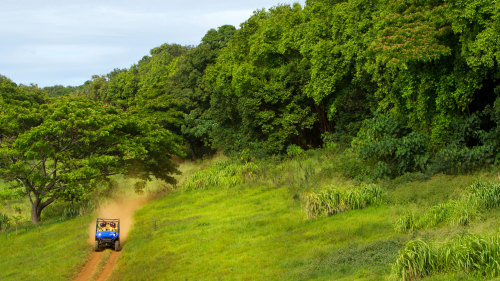 4x4 Waterfall Jungle Tour