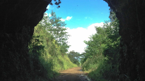 Kauai Backroads Tour