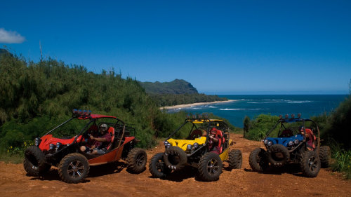 ATV Tour: Trail Riding & Waterfall Swimming