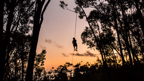 Sunset Ziplining