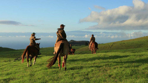 Paniolo Horseback Ride
