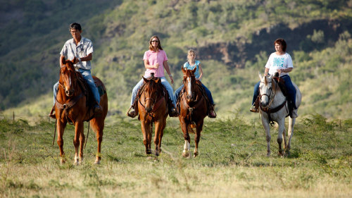 Secret Beach Picnic & Horseback Ride