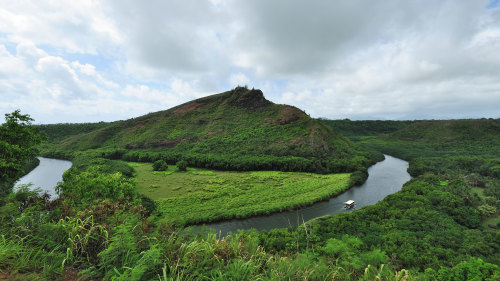 Waimea Canyon & Fern Grotto Tour