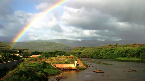 Waimea Canyon Tour