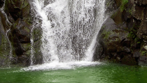 Waimea Waterfall & Circle Island Adventure with Lunch
