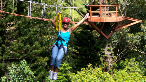 Zipline Treetop Tour